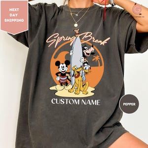 Comfortkleuren Disney Mickey en vrienden voorjaarsvakantie shirt, vrienden zomershirt, familie bijpassende shirt, Disneyland zomervakantie shirt