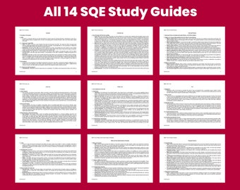 SQE1 Study Guides: All 14 Subjects FLK1 FLK2