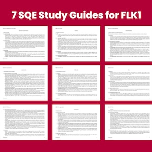 May include: Seven study guides for the FLK1 exam. Each guide covers a different topic related to the exam, such as legal issues, ethics, and governance. The guides are organized in a grid format with a red background and white text.