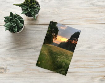 Carte postale nature
