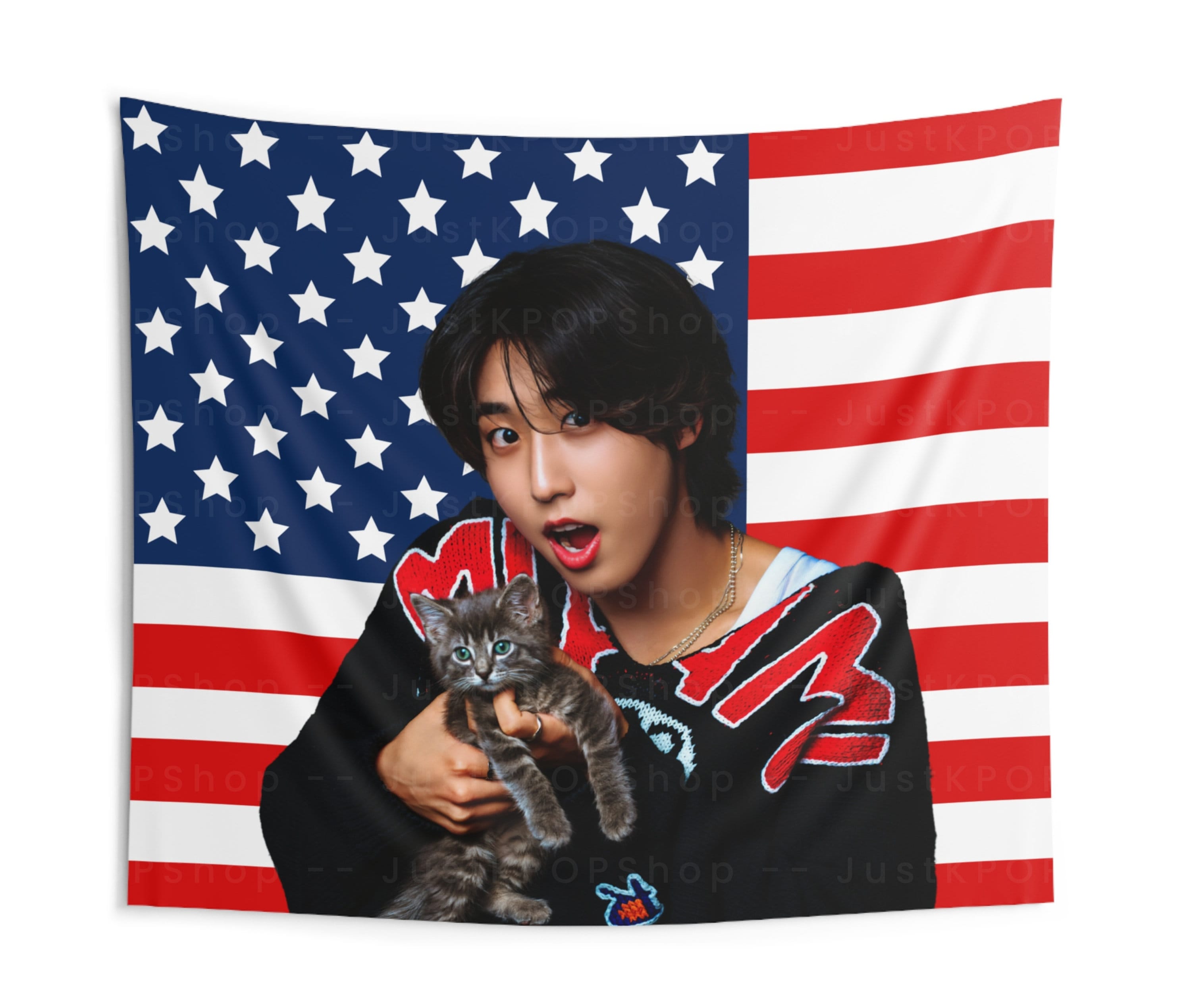 SKZ Han With a Kitten American Flag, Stray Kids Han Jisung