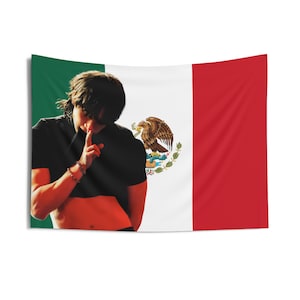 Bang Chan Abs Mexican Flag, Stray Kids Concert Banner, SKZ Kpop Banner, Stray Kids Ate, Skz 5 Clock, Stray Kids 2025