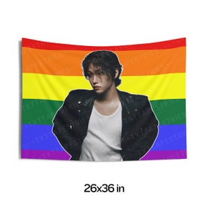 Stray Kids Felix Stunning Photoshoot Pride Flag Banner, Felix Pride Flag Tapestry, Stray Kids Lalalala, Gift for Stray Kids fans, Megaverse