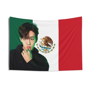 P1Harmony Intak Photo Flag Banner, Intak Mexican Tapestry, Intak Merch Decor, Killin It P1Harmony, p1harmony tour 2024