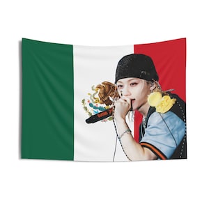 Felix Cute Mexican Flag, Stray Kids Concert Banner, SKZ Kpop Banner, Stray Kids Ate, Skz DominAte, Stray Kids 2025