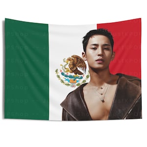 Seventeen Mingyu Photoshoot Mexican Flag, Seventeen Kpop Flag, Seventeen Follow Again, Seventeen Spill the Feels, Seventeen World Tour