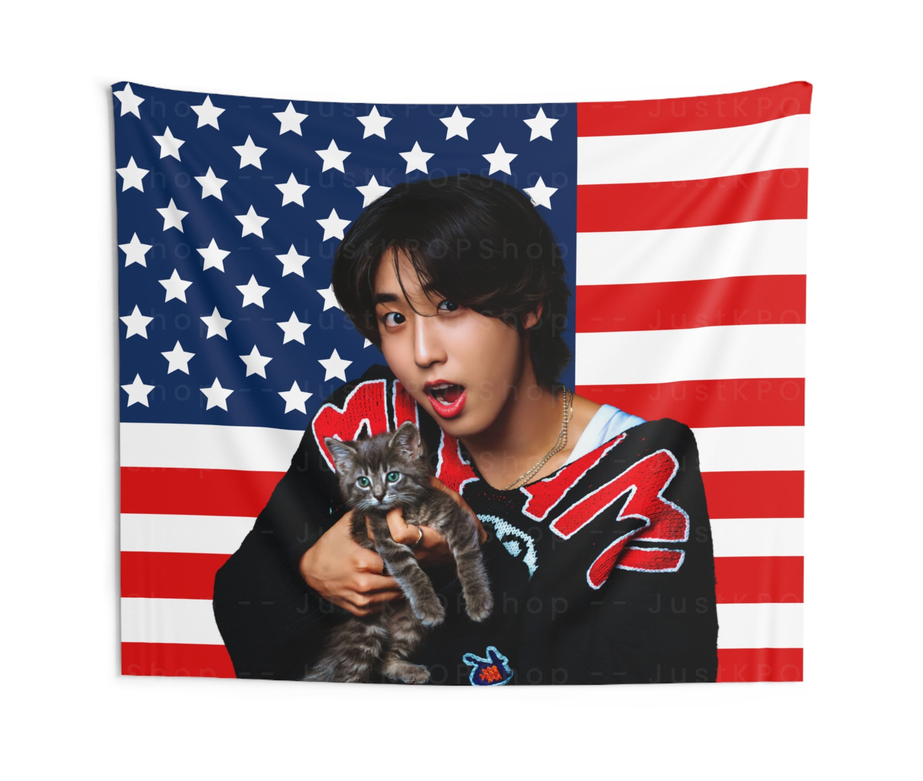 SKZ Han With a Kitten American Flag, Stray Kids Han Jisung