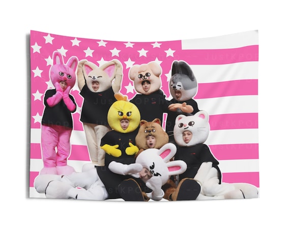 SKZ Members Skzoo Costume American Flag, Stray Kids Skzoo Pink