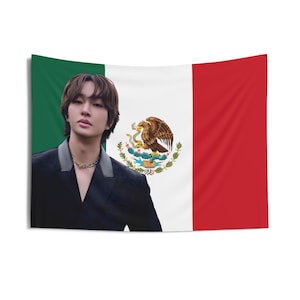 Onew Visuals Mexican Flag, Shinee Concert Banner, Shinee Kpop Flag, Gift for Shawols, Shinee 2025