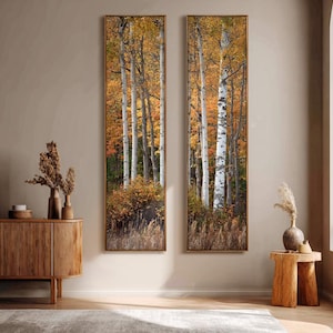 May include: Two tall, vertical rectangular wall art pieces featuring a forest scene with white-barked birch trees and vibrant autumn foliage in shades of yellow, orange, and brown, framed in thin, dark wood borders mounted on a neutral wall.