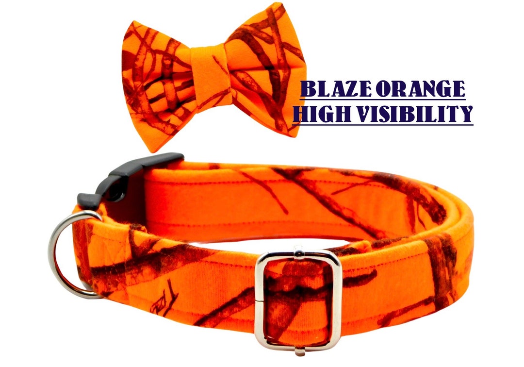 Blaze Orange Dog Collar / High Visibility Collar for Dogs / Etsy