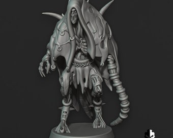 Líder da Irmandade nº 3 | Edge Miniatures - Elfos Amaldiçoados