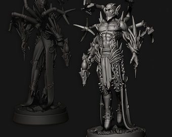 Líder da Irmandade nº 7 | Edge Miniatures - Elfos Amaldiçoados