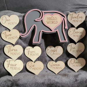 Baby Milestone Elephant