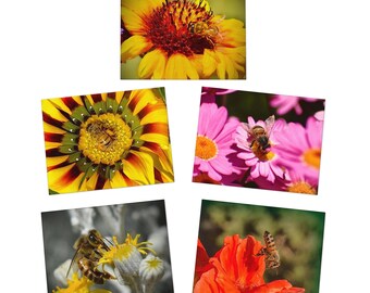 Tarjetas de felicitación (paquete de 5), Fotografía de abejas, Fotos florales, Tarjetas en blanco, Tarjetas de notas, Fotos de la naturaleza, Colección Abeja sobre flores, Inspirada en la naturaleza