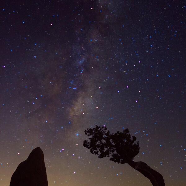 Milky Way over Penguin Rock in Joshua Tree National Park juniper tree silhouette