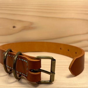May include: A brown leather dog collar with a brass buckle and two D-rings. The collar is stitched with light blue thread.