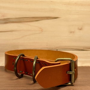 May include: A brown leather dog collar with two brass D-rings and a brass buckle. The collar is stitched with colorful thread.