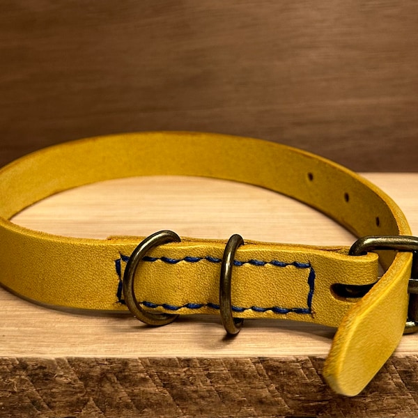 Mango Dog Collar Etsy