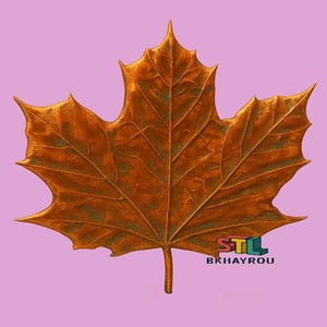 May include: A detailed, bronze-colored maple leaf with prominent veins and a textured surface. The leaf is set against a soft pink background. The text "STL BKHAYROU" is visible in the lower right corner.