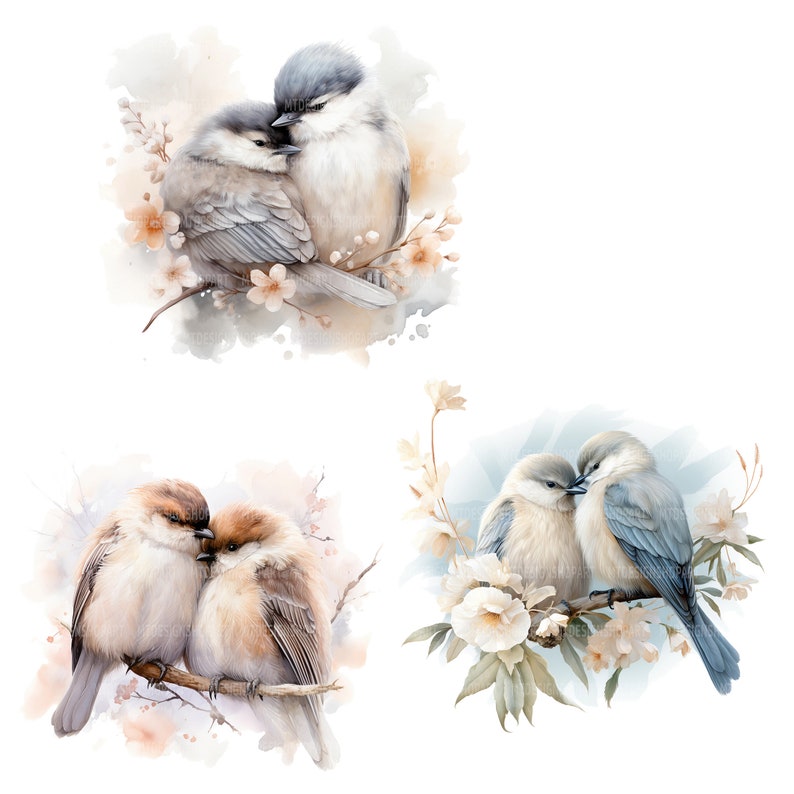 May include: Three watercolor paintings of pairs of birds cuddling. The first pair is light blue and gray, the second pair is brown and white, and the third pair is light blue and gray. All three pairs are perched on branches with delicate white flowers.