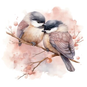 May include: Two small birds with gray and brown feathers are perched on a branch with pink blossoms. The birds are facing each other and appear to be cuddling.