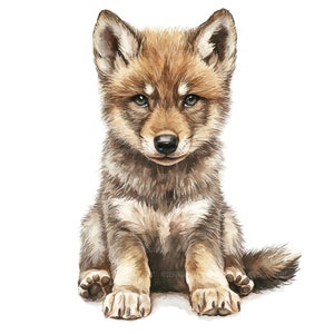 16 babywolf clipart, kleine wolf welp, afdrukbare aquarel clipart, Paper Craft, schattige wolf clipart, hoge kwaliteit jpg's, digitale download