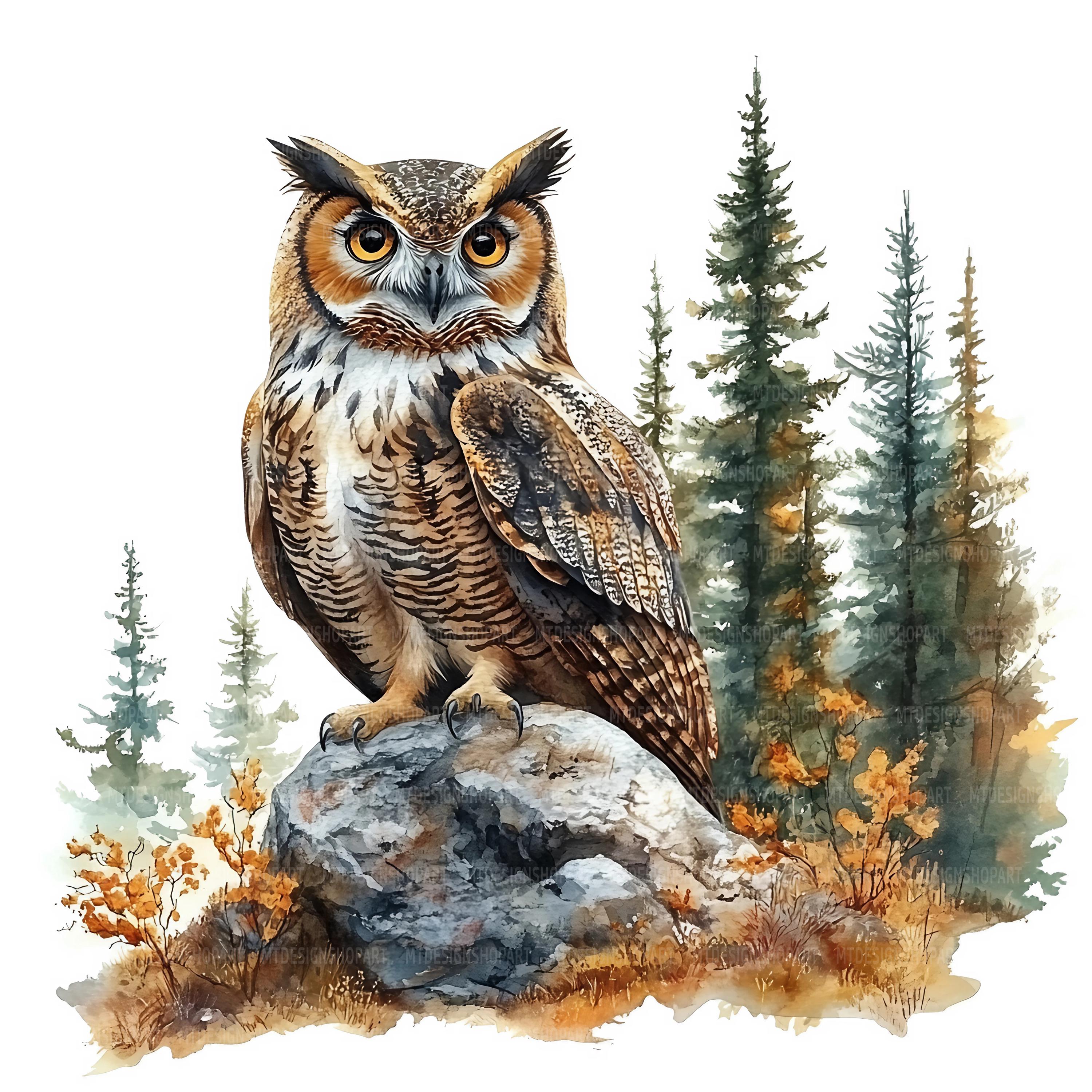 16 Owl on Rock Clipart, Owl Clipart, Printable Watercolor Clipart, Paper Craft, Junk Journals, High 