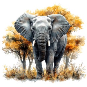 16 Clipart de elefante, Arte de elefante em aquarela, Clipart de aquarela para impressão, Artesanato em papel, Diários de lixo, JPGs de alta qualidade, Download digital