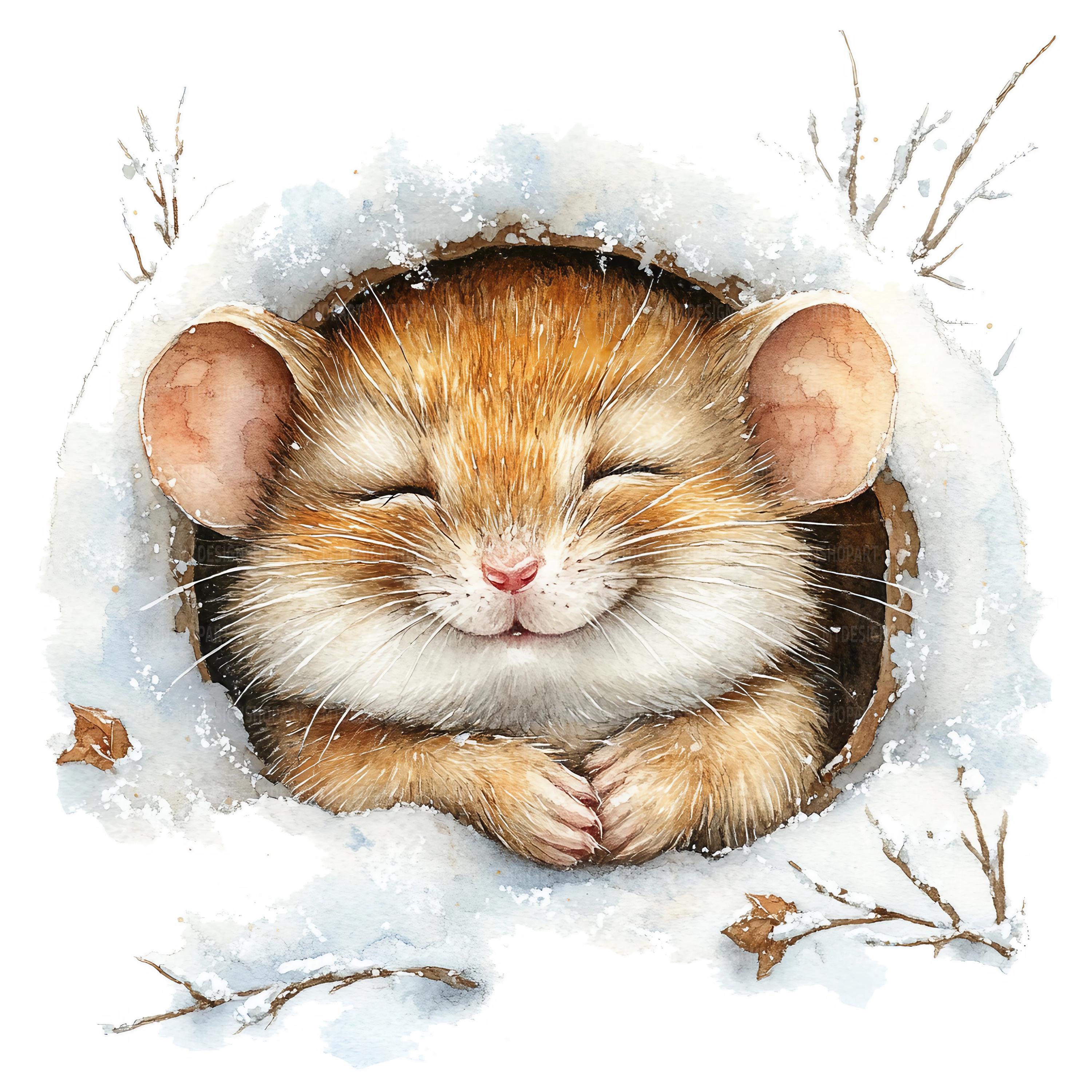 17 Mouse Hole Clipart, Sleeping Mouse, Printable Watercolor Clipart ...