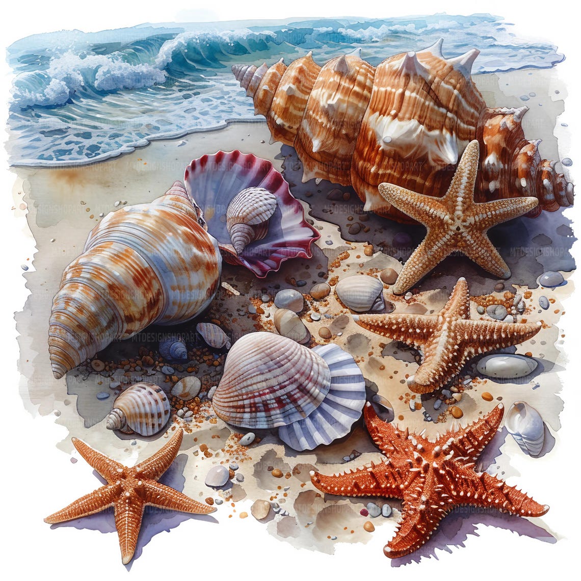 19 Sea Shells Clipart, Seashell Clip Art, Printable Watercolor Clipart ...