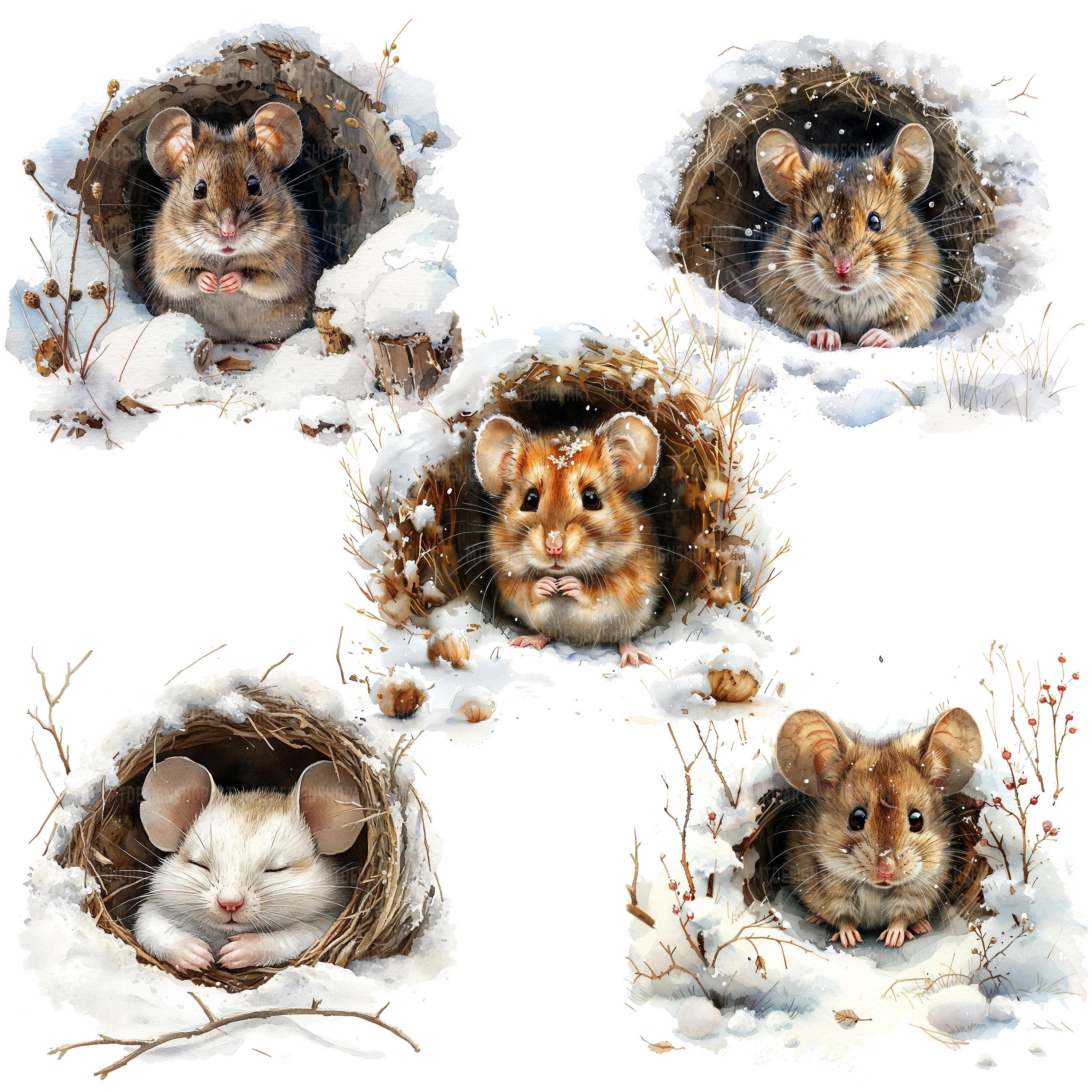 17 Mouse Hole Clipart, Sleeping Mouse, Printable Watercolor Clipart ...
