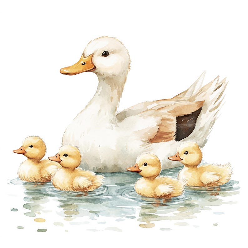 17 Clipart di mamma e anatroccolo, Clipart di anatre, Clipart di acquerelli stampabili, Lavoretti di carta, Diari di scarto, JPG di alta qualità, Download digitale immagine 6