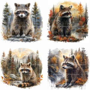 Op de afbeelding: Vier aquarellen van wasberen in een bosrijke omgeving. Elke wasbeer is afgebeeld in een andere pose en omringd door bomen, rotsen en bladeren. De schilderijen zijn gemaakt in een realistische stijl en tonen een verscheidenheid aan kleuren, waaronder bruinen, groenen en oranje.
