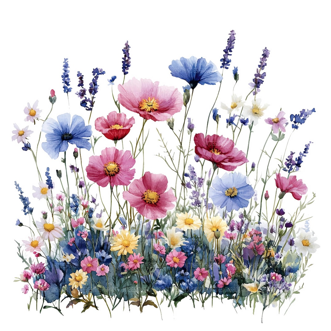 27 Wildflowers and Grass Clipart, Wild Flowers, Printable