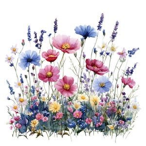 27 clipart de flores silvestres e grama, flores silvestres, clipart de aquarela para impressão, artesanato em papel, diários de lixo, JPG de alta qualidade, download digital