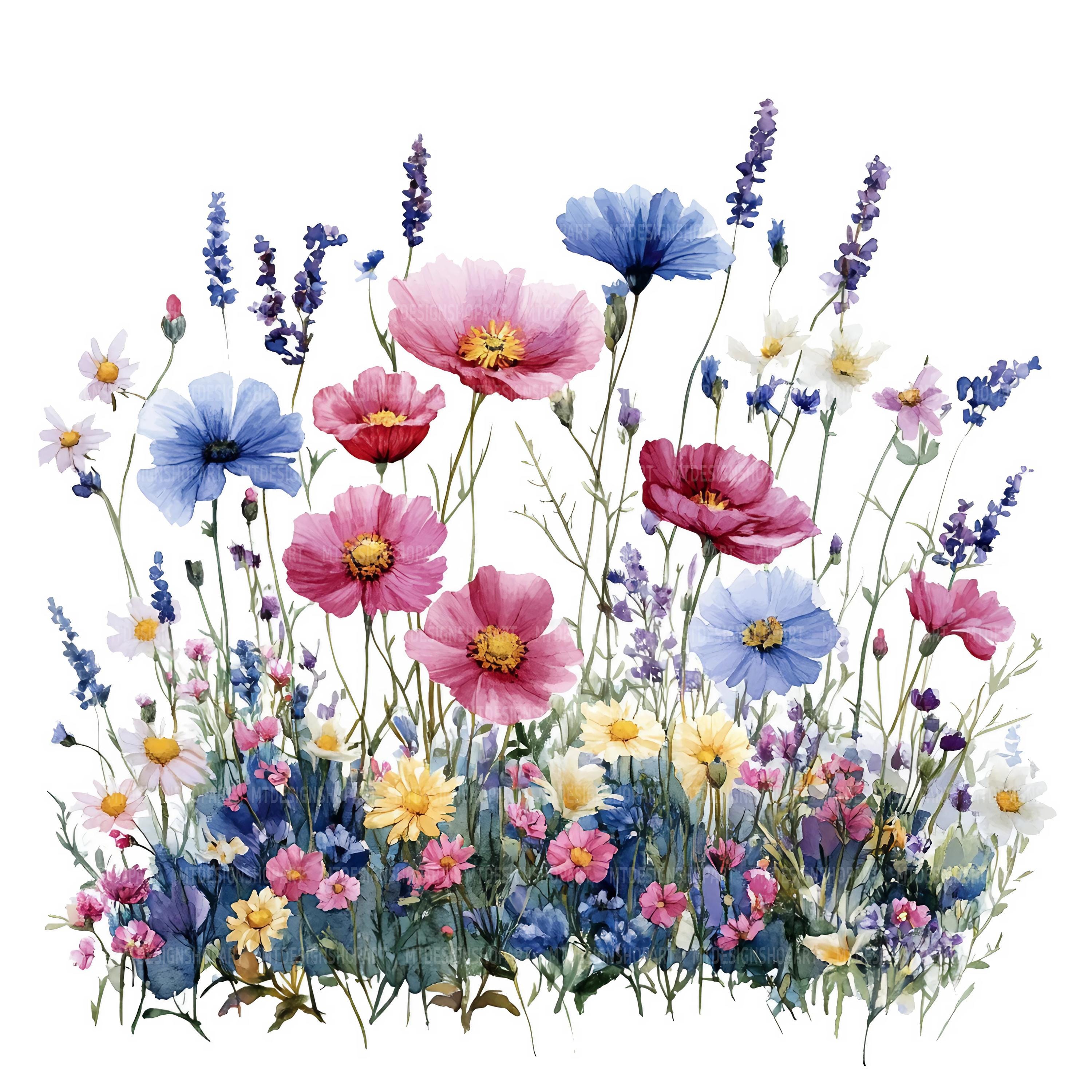 27 Wildflowers and Grass Clipart, Wild Flowers, Printable