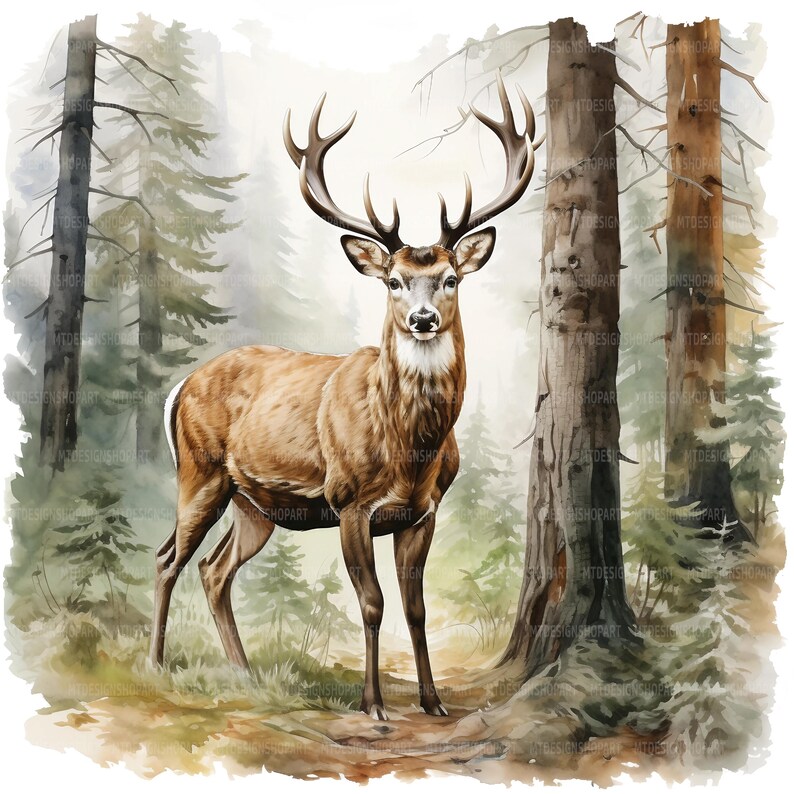 20 Deer in Forest Clipart, Red Deer Clipart, Printable Watercolor