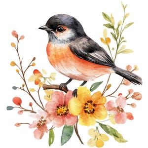16 Clipart oiseau floral, clipart oiseau mignon, clipart aquarelle imprimable, créations en papier, journaux indésirables, fichiers JPG de haute qualité, téléchargement numérique