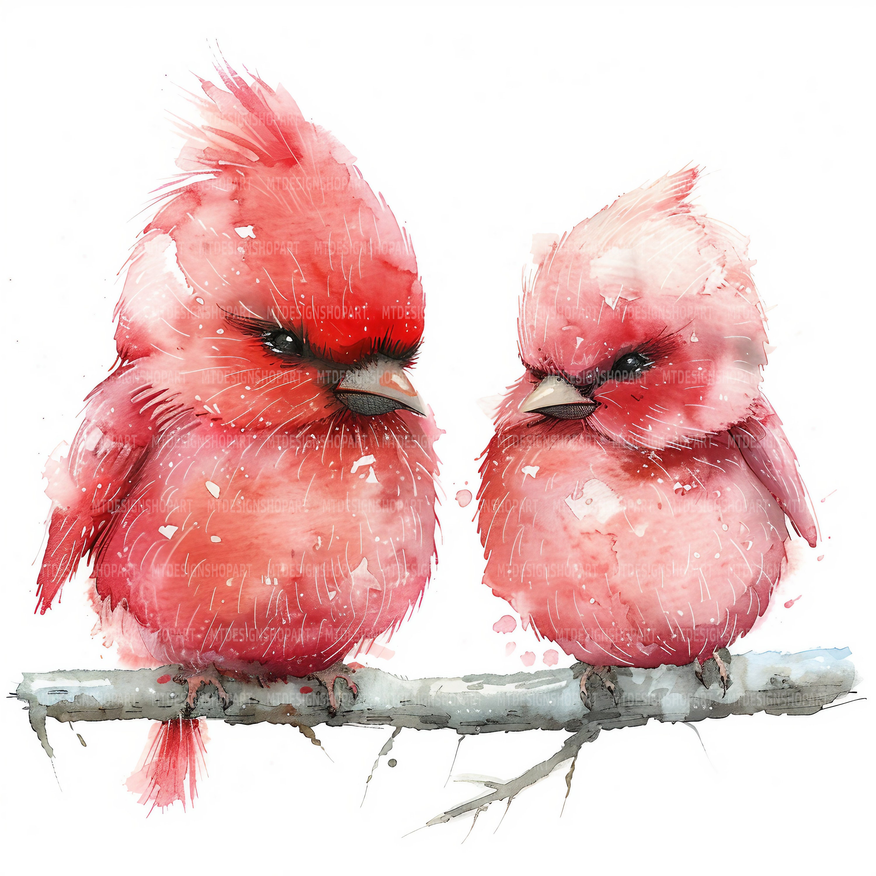 18 Grumpy Birds Clipart, Birds Clipart, Funny Birds, Watercolor Clipart ...