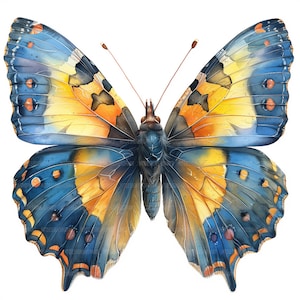 18 clipart de borboleta realista, clipart de borboletas, clipart em aquarela para impressão, artesanato em papel, JPGs de alta qualidade, download digital