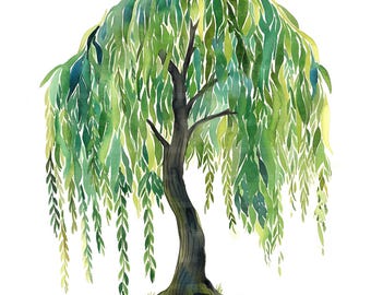 19 imagens de salgueiros, ideal para decoração de quarto infantil, clipart em aquarela para imprimir, perfeito para artesanato em papel, diários de arte, JPGs de alta qualidade, download digital.