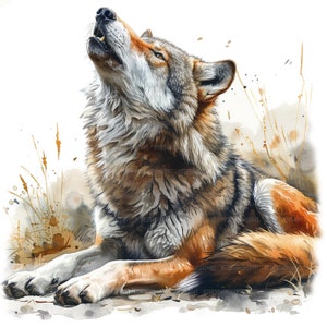 13 howling Wolf Clipart, Printable Watercolor Clipart, wolf Clipart, High Quality JPGs, High Resolution, Paper Crafts, Digital Download