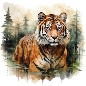16 Tiger in Forest Clipart, Tiger Clipart, Printable Watercolor Clipart, Paper Craft, Junk Journals, High Quality JPGs, Digital Download