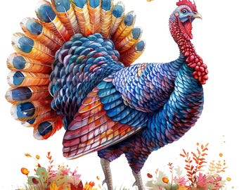 19 Turkije clipart, Thanksgiving clipart, afdrukbare aquarel clipart, Paper Craft, ongewenste tijdschriften, hoge kwaliteit jpg's, digitale download