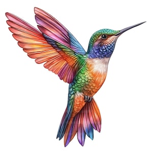 19 imágenes prediseñadas de colibrí, arte de aves en acuarela, imágenes prediseñadas de acuarela imprimibles, manualidades de papel, revistas basura, archivos JPG de alta calidad, descarga digital
