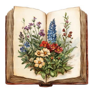 26 imágenes prediseñadas de flores secas, imágenes prediseñadas de libros antiguos, libros florales, imágenes prediseñadas de acuarela imprimibles, manualidades de papel, archivos JPG de alta calidad, descarga digital