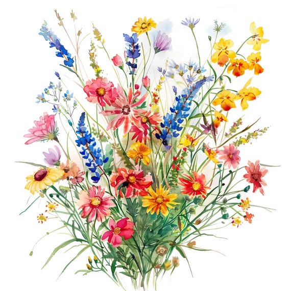 22 Wildflower Flowerbed Clipart, Wildflowers Bouquet Clipart