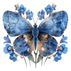 19 Forget Me Not Butterfly Clipart, Clipart farfalla, Clipart acquerello stampabile, Carta artigianale, JPG di alta qualità, Download digitale