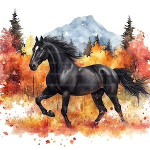 16 schwarzes Pferd im Herbst Clipart, schwarzes Pferd, druckbare Aquarell Cliparts, Papierwesen, Junk Journals, hochwertige JPGs, digitaler Download